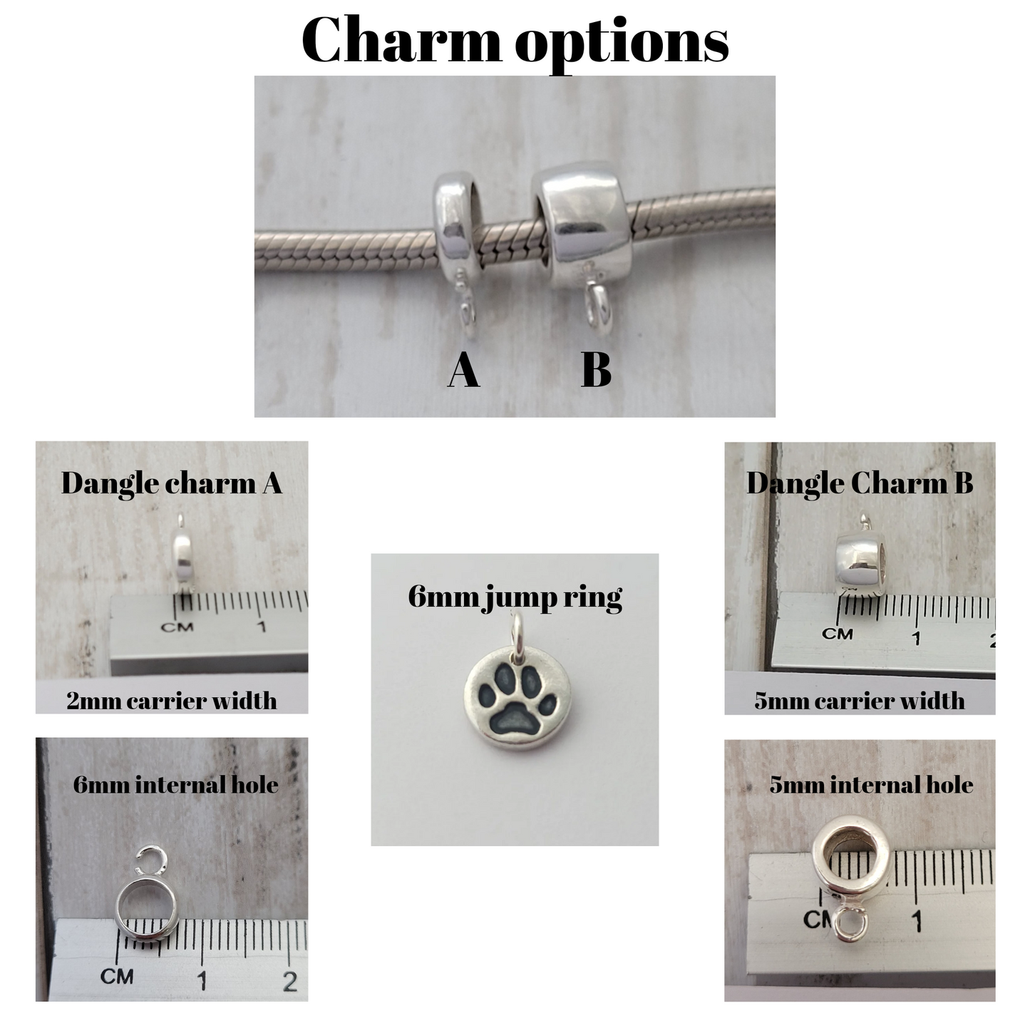 Paw-print-Dangle-charm-carrier-info